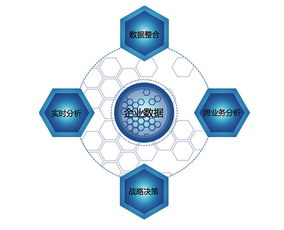 Eric 64 TRS 大數據白皮書概述